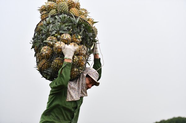 Bộ Tài chính rút ra hai kịch